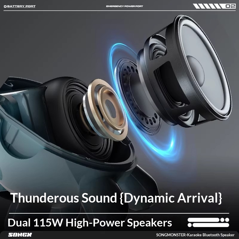 SONGX Audio Podwójny Mikrofon  – Full Range Speaker recenzja i cena